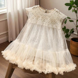 Vestido Infantil Luxo Tule Bordado com Brilho Festa Princesa